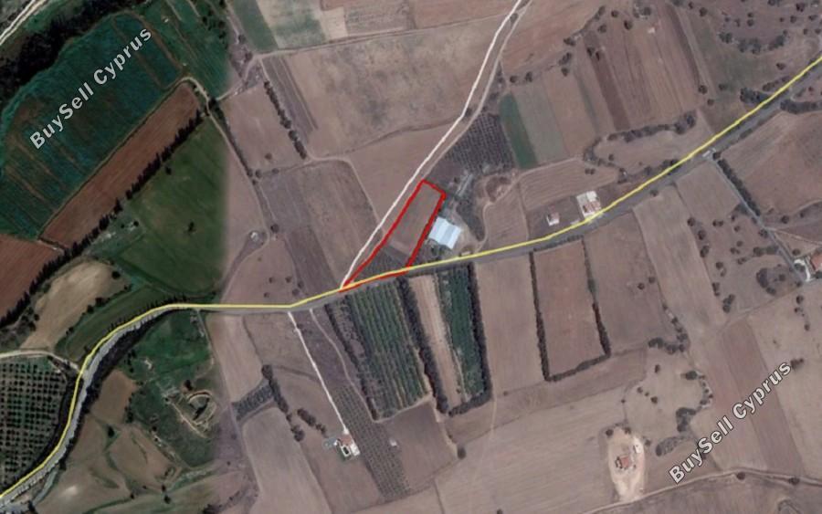 land for sale kouklia pafou paphos 1355827 image 16325783