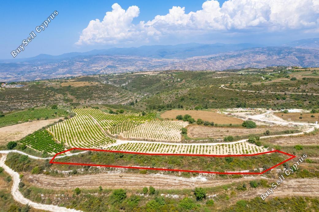 land for sale kathikas paphos 8993927 image 18136161