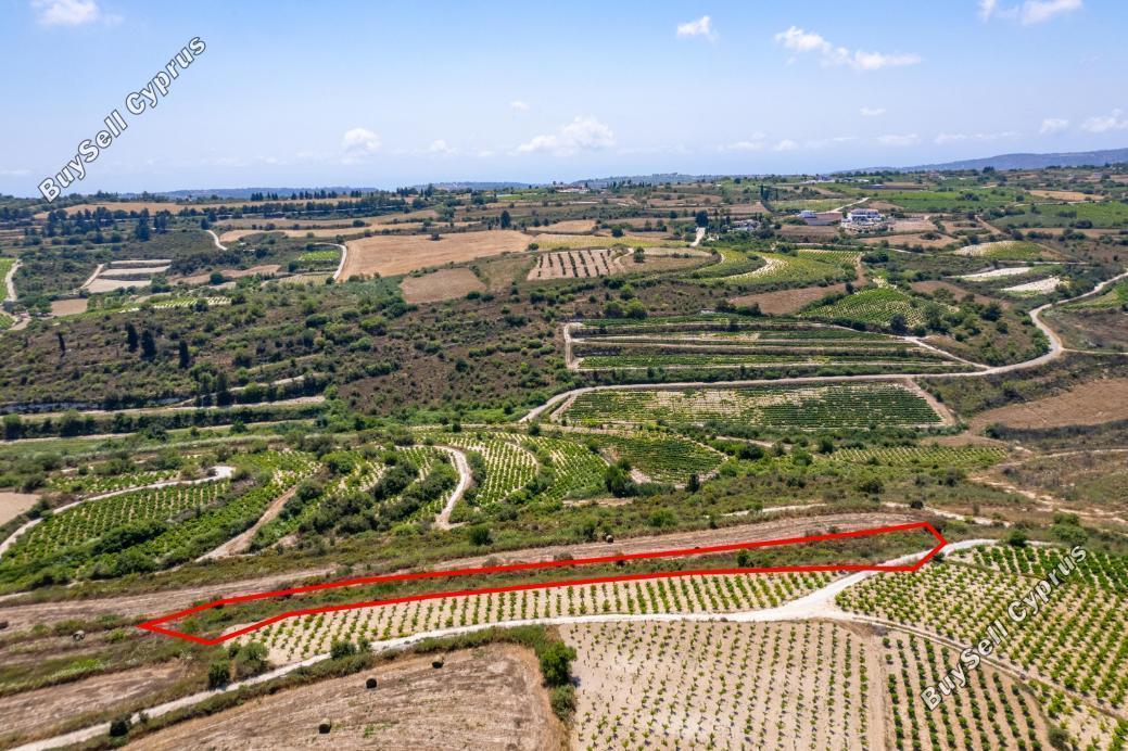 land for sale kathikas paphos 8993927 image 18136166