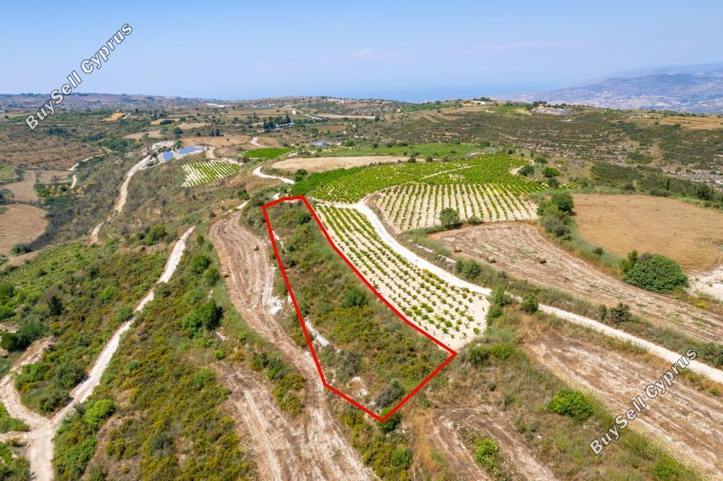 land for sale kathikas paphos 8993927 image 18136168