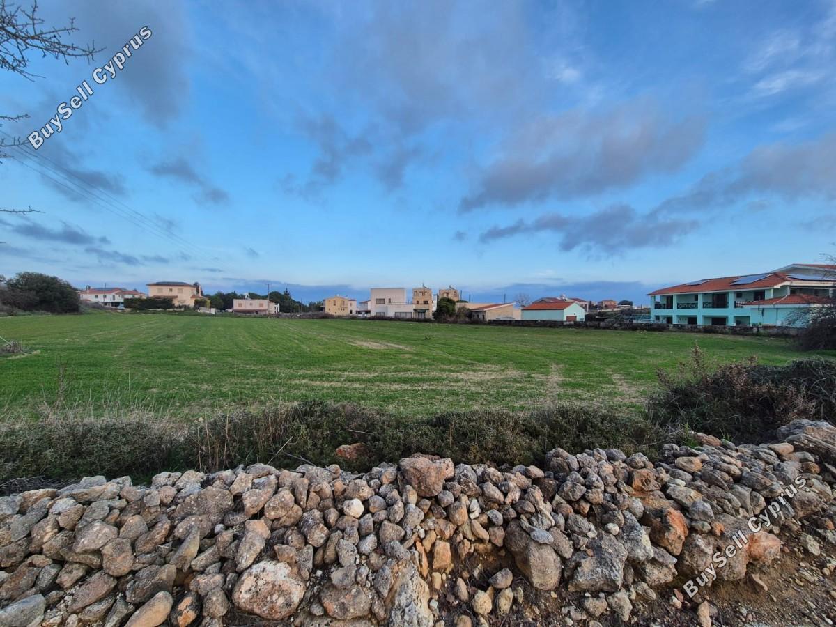 land for sale koili paphos 8892927 image 17333183
