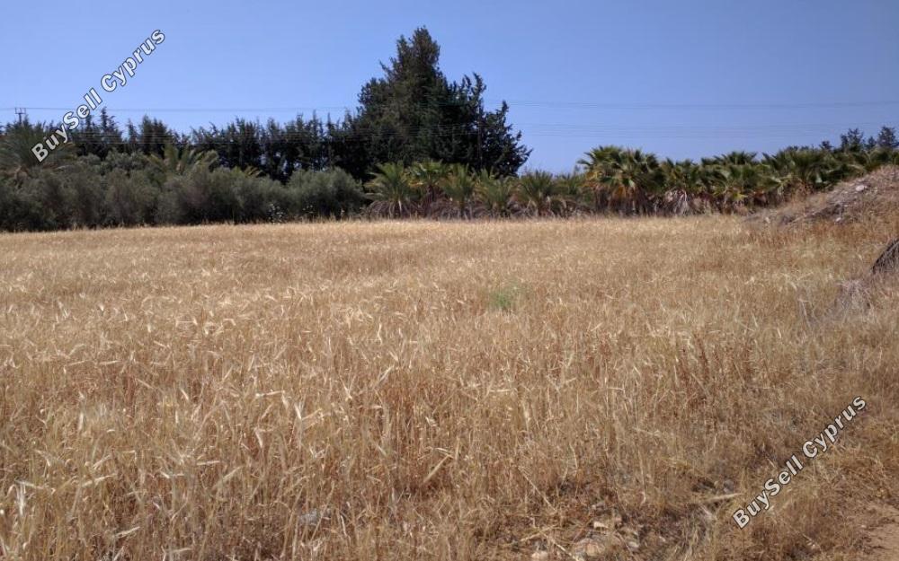 land for sale kouklia pafou paphos 827927 image 15177939
