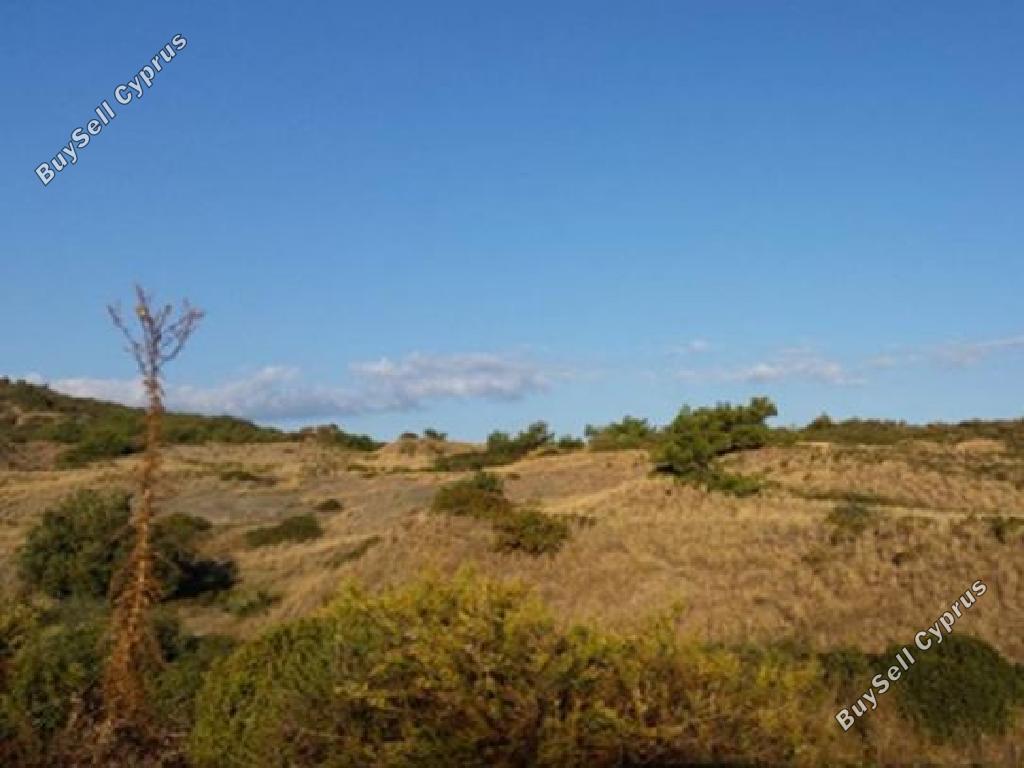 land for sale pigenia nicosia 1093037 image 15603273