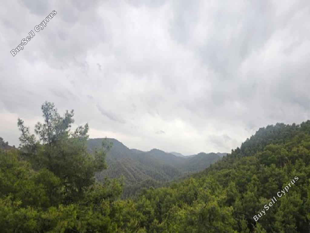 land for sale pigenia nicosia 1093037 image 17158940