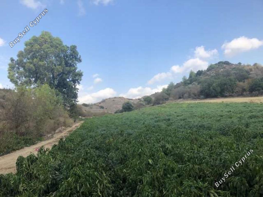 land for sale kannaviou paphos 946137 image 15598858