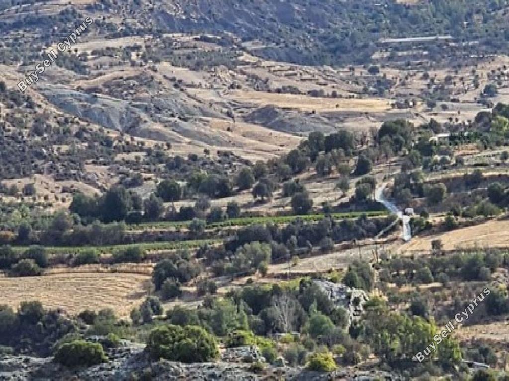 land for sale kannaviou paphos 946137 image 17227856