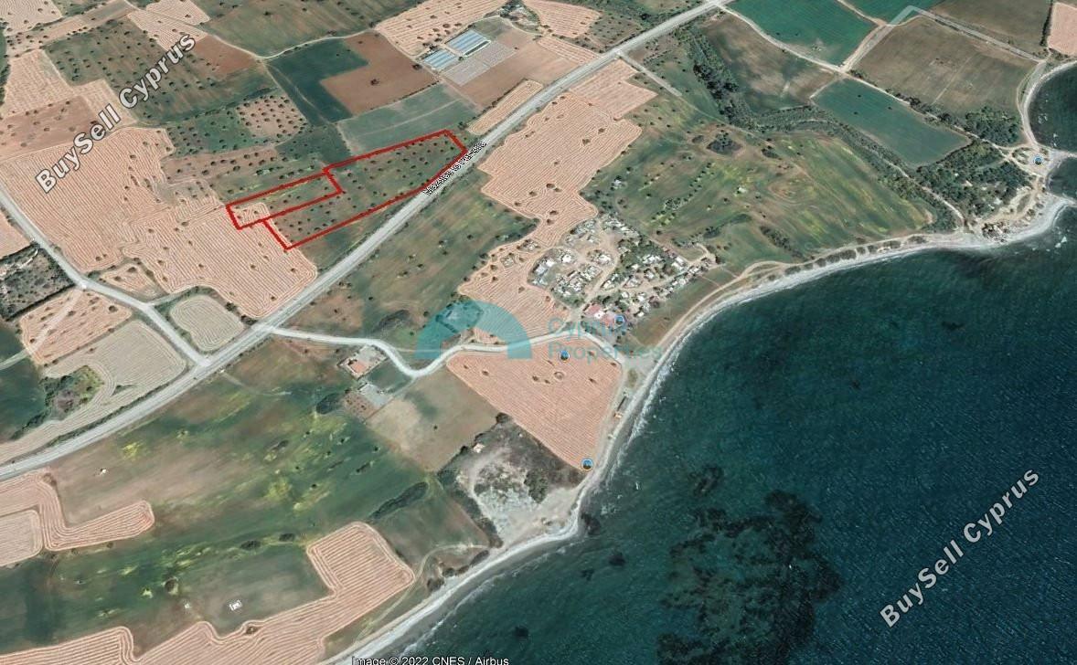 land for sale mazotos larnaca 957137 image 5420683