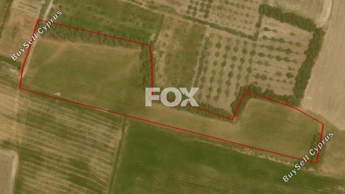 land for sale timi paphos 1160137 image 10030421