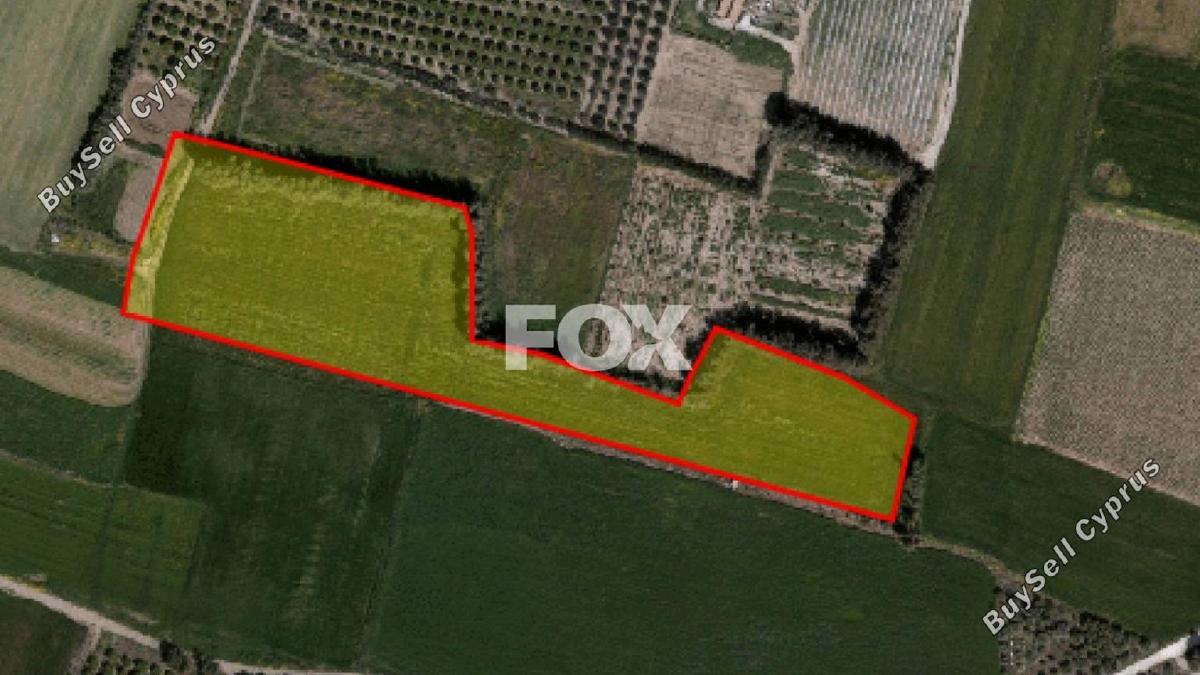 land for sale timi paphos 1160137 image 10030426