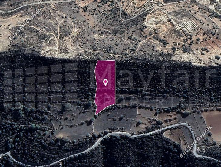 land for sale pachna limassol 7872237 image 14115944