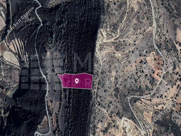 land for sale pachna limassol 7872237 image 14115950