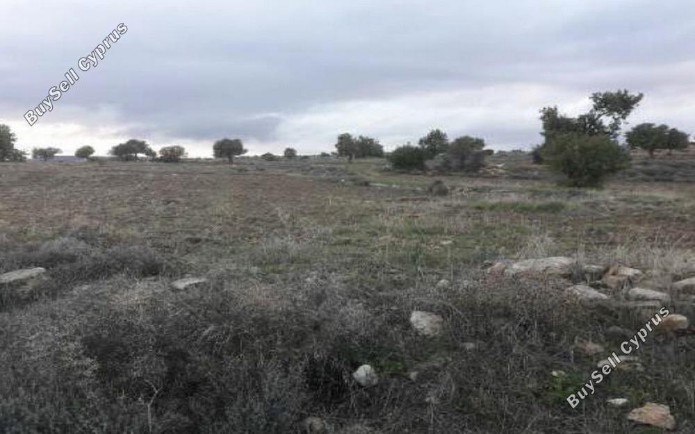 land for sale pachna limassol 829237 image 11082219
