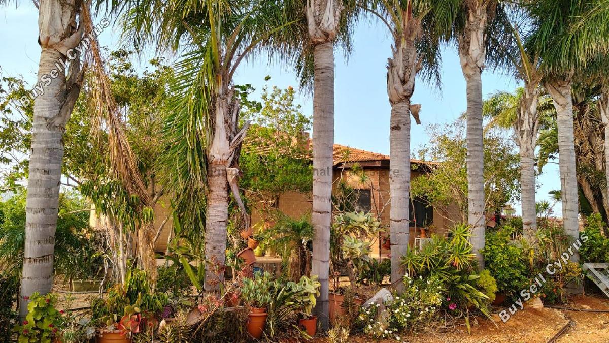 5 bedroom bungalow for sale ormideia larnaca 8626337 image 15848743