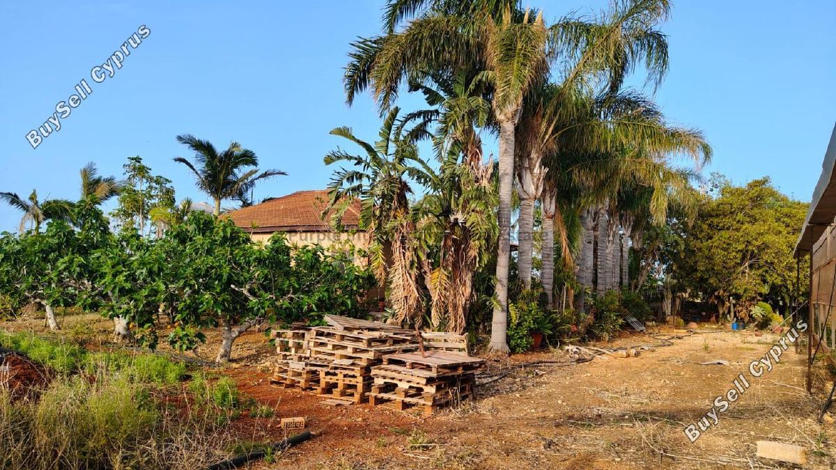 5 bedroom bungalow for sale ormideia larnaca 8626337 image 15848763