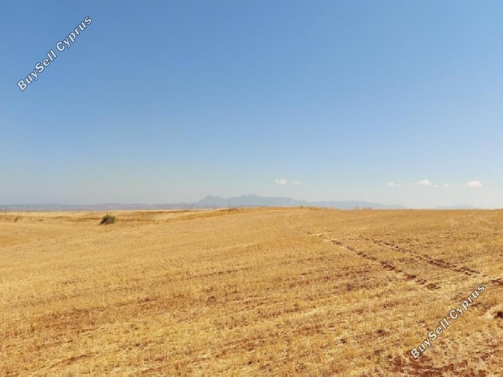 land for sale orounta nicosia 947437 image 6818736