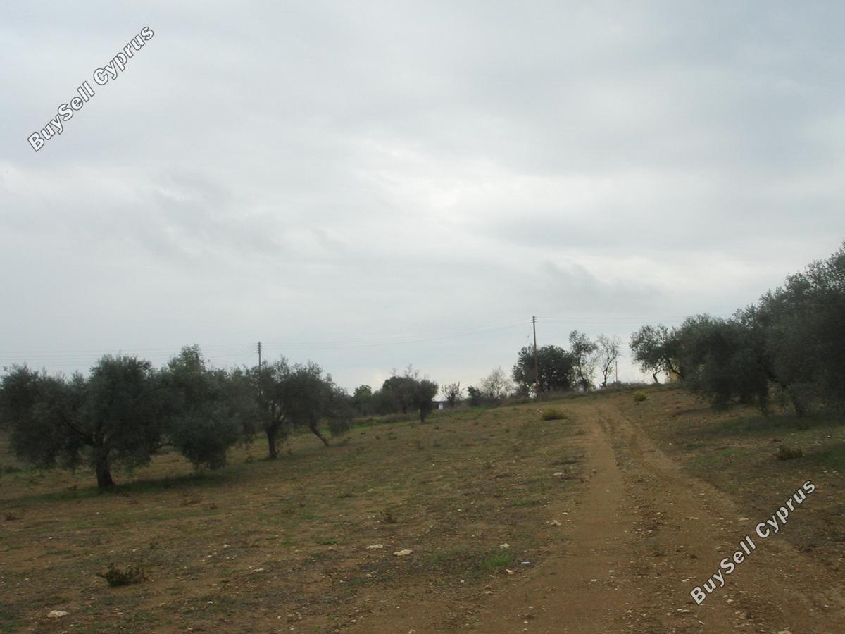 land for sale polemi paphos 1171437 image 1662168