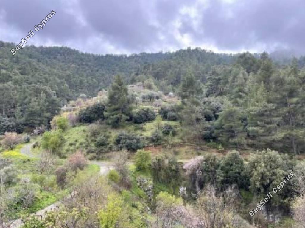 land for sale spilia nicosia 1353437 image 16512074