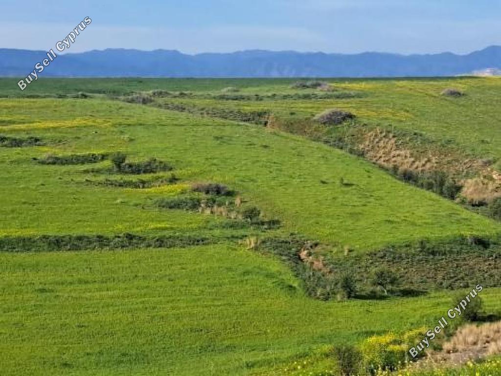 7024 SQM Land for sale in Peristerona Lefkosias, Nicosia 13833577