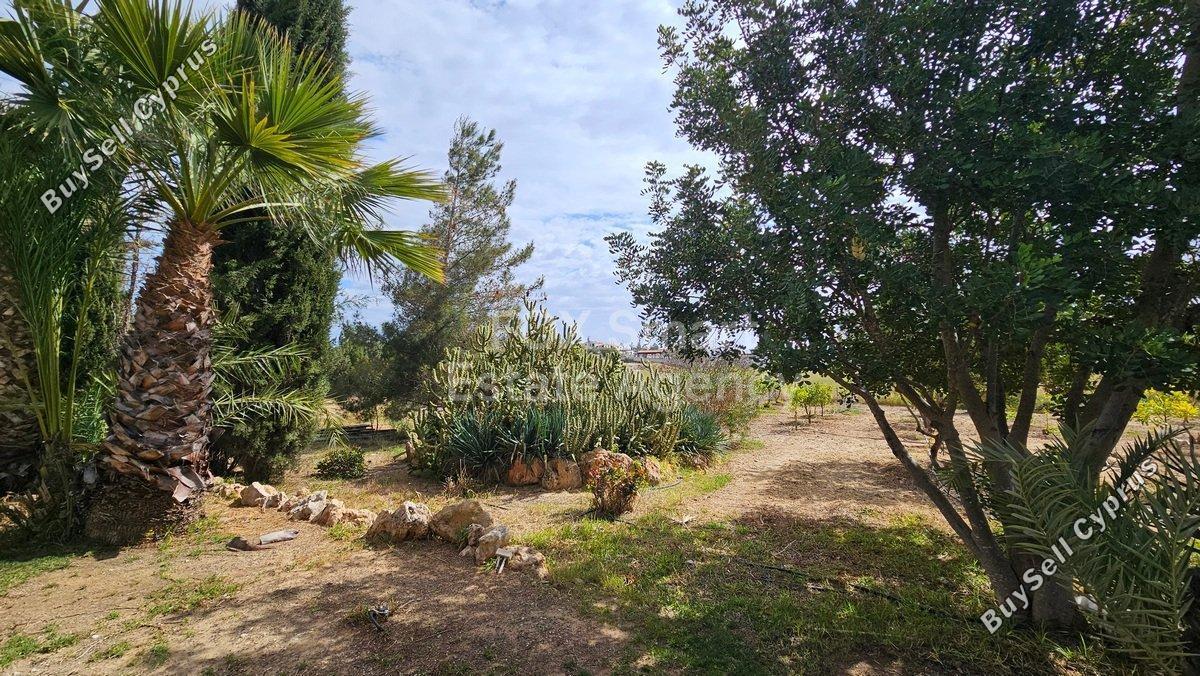 4 bedroom detached house for sale agioi trimithias nicosia 1152537 image 5157150
