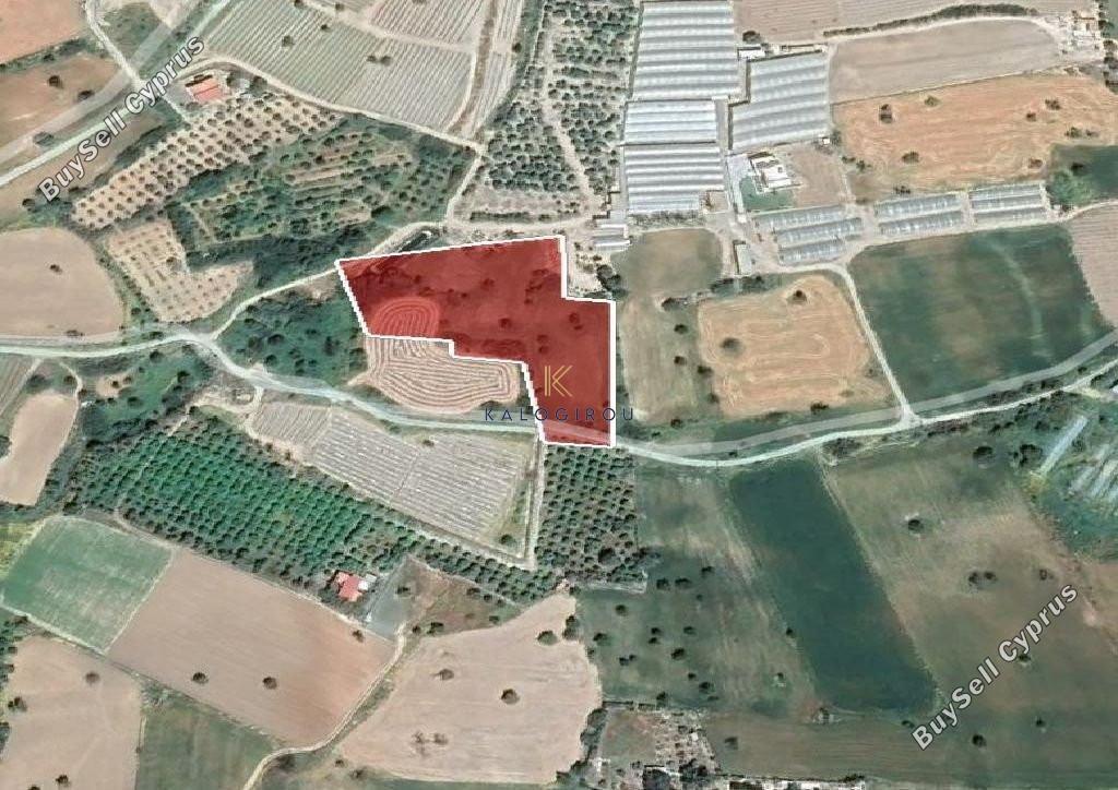 land for sale agios theodoros larnacas larnaca 1604537 image 5703262