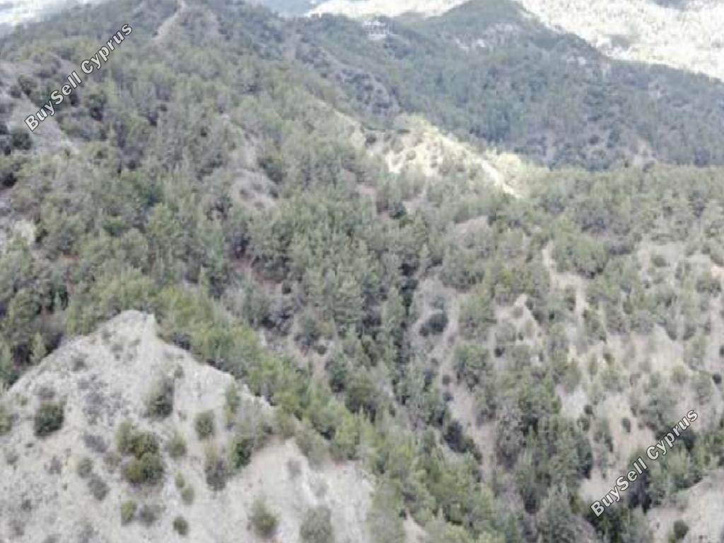 land for sale pera pedi limassol 1744537 image 15597810