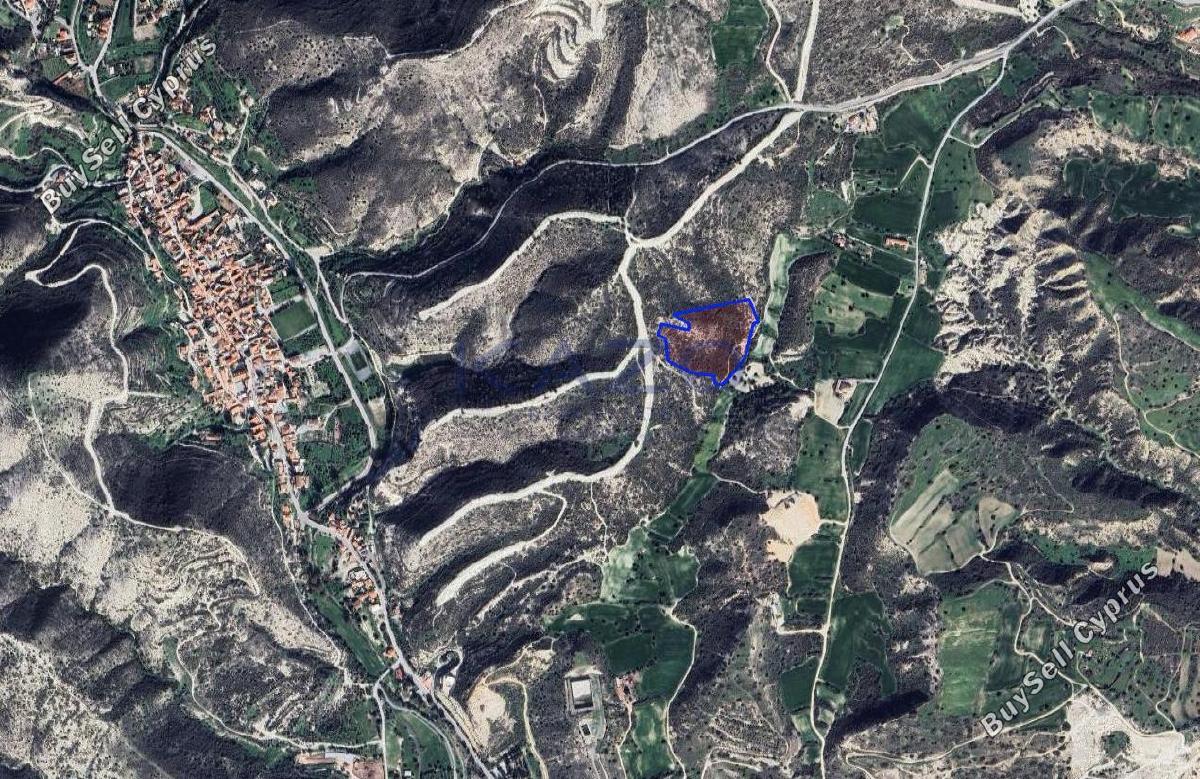 land for sale tochni larnaca 8698537 image 16205383