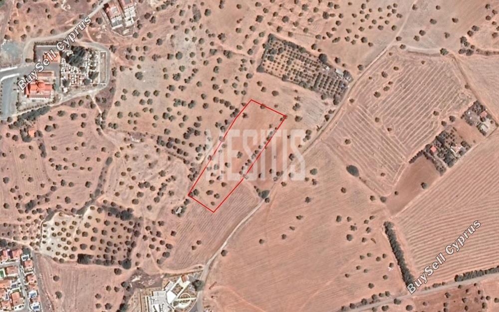 plot for sale mazotos larnaca 1824537 image 12887352