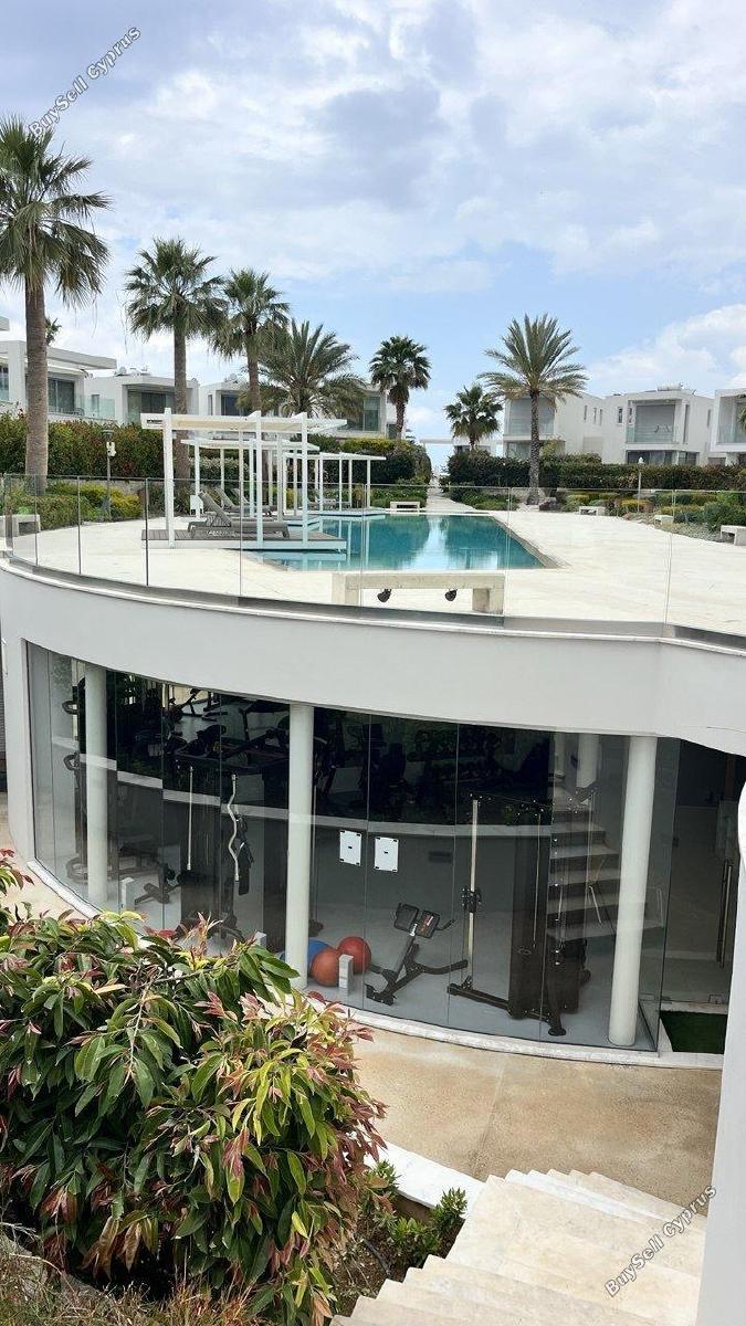 5 bedroom detached house for rent coral bay paphos 1929637 image 15683078