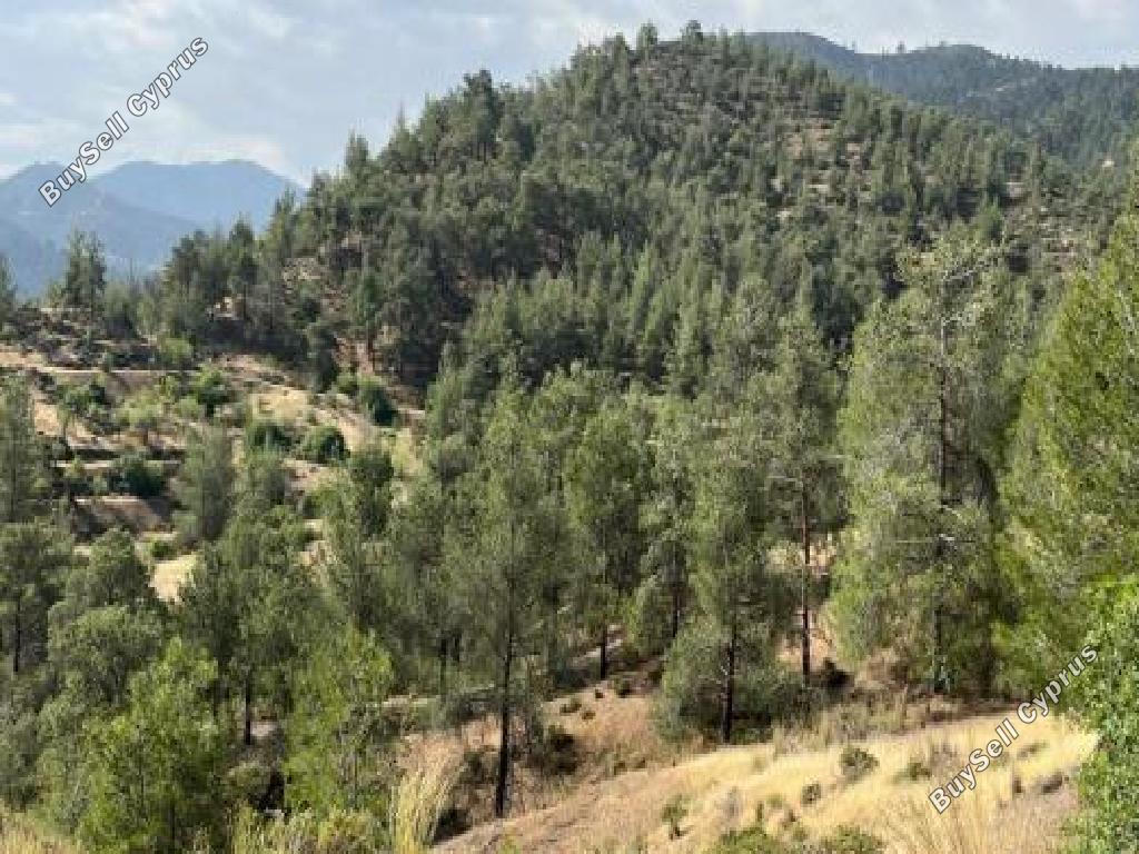 land for sale agios theodoros soleas nicosia 7609637 image 9774975