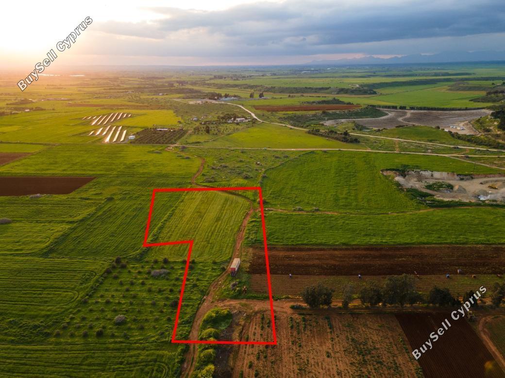 land for sale avgorou famagusta 880637 image 754309