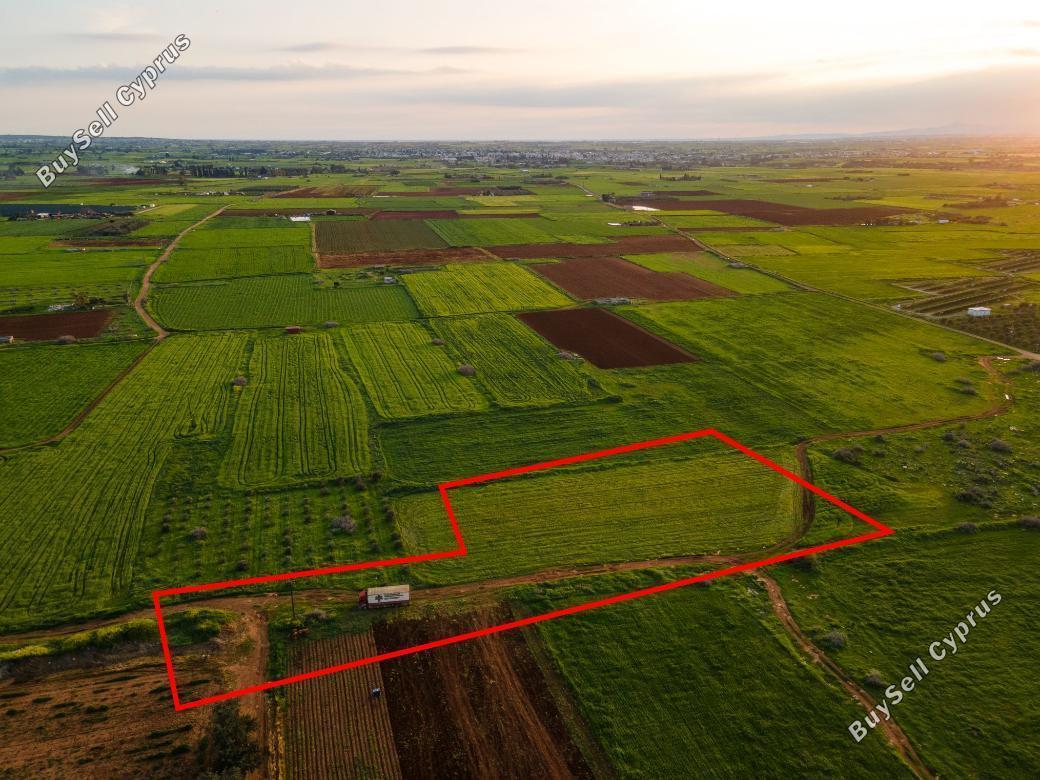 land for sale avgorou famagusta 880637 image 754310