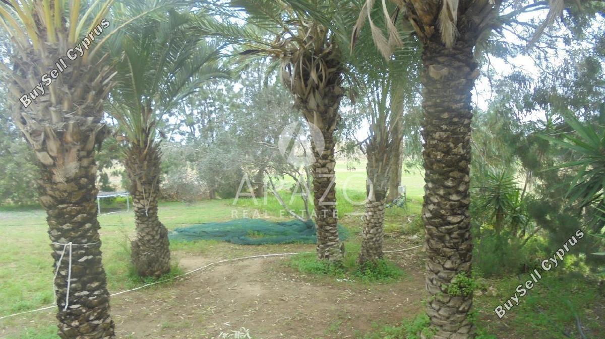 5 bedroom detached house for sale paralimni famagusta 8151737 image 15905154