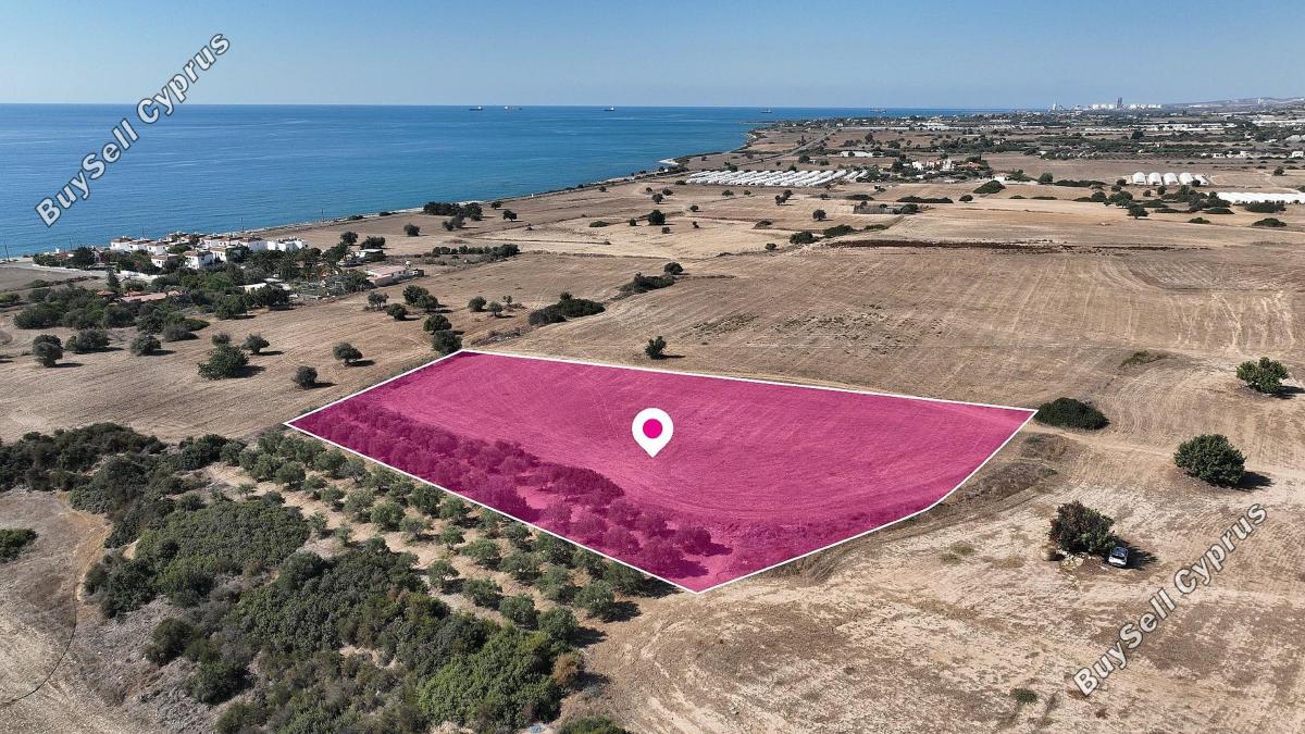 land for sale agios theodoros larnacas larnaca 1544737 image 3837020