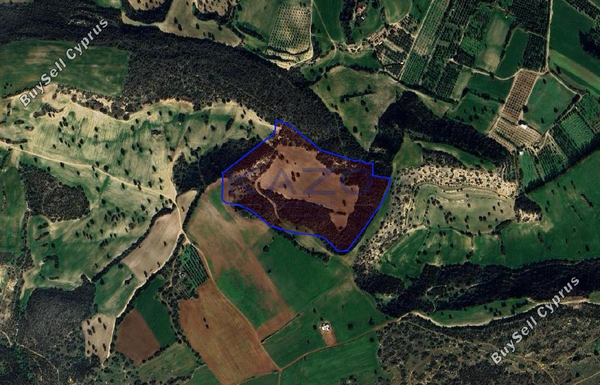 land for sale agios theodoros larnacas larnaca 7660737 image 9953730