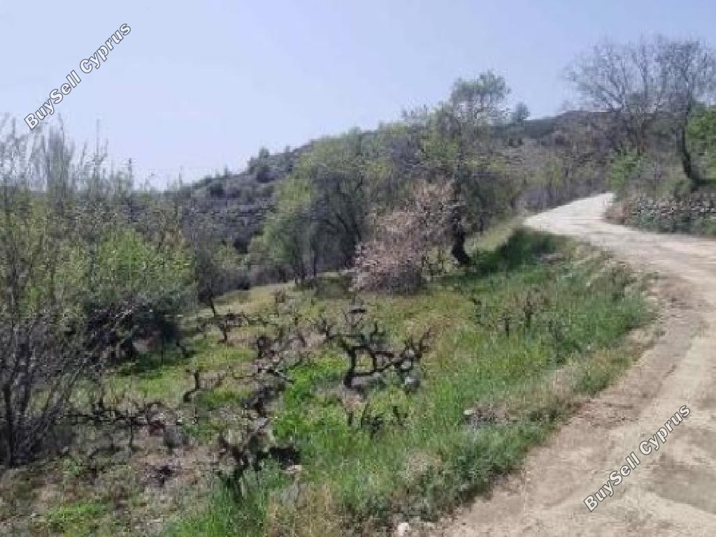 land for sale chandria limassol 1810837 image 15597966