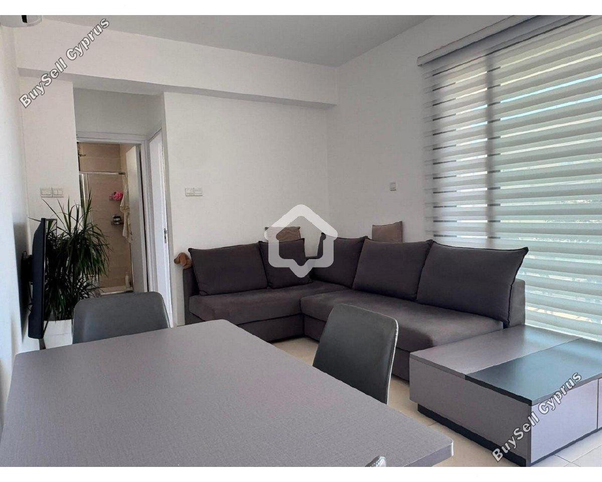 1 bedroom apartment for rent mackenzie larnaca 8797937 image 16708949
