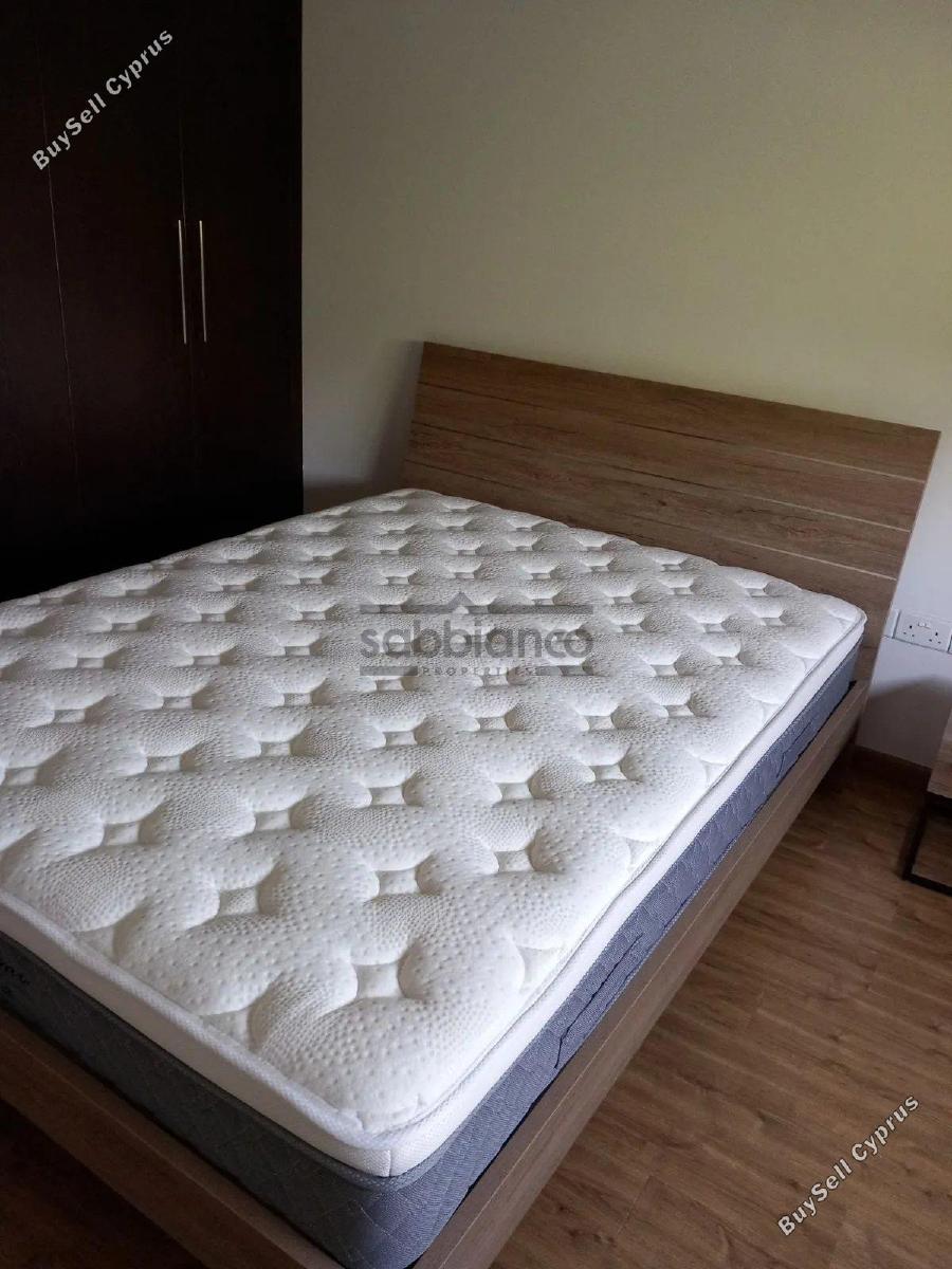3 bedroom apartment for rent limassol municipality limassol 8752937 image 16506300