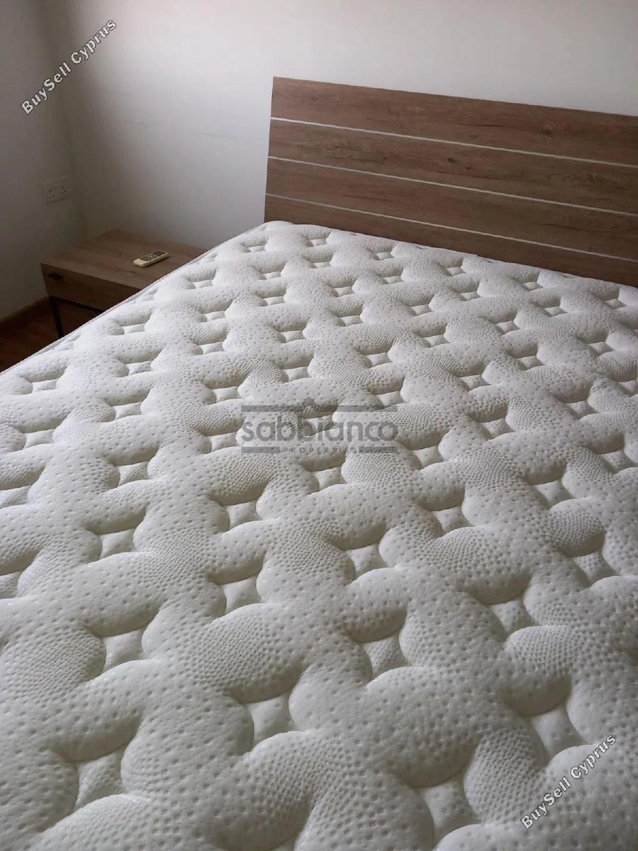 3 bedroom apartment for rent limassol municipality limassol 8752937 image 16506301
