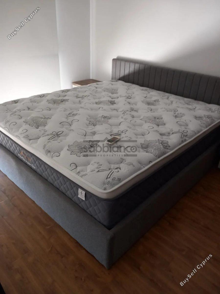 3 bedroom apartment for rent limassol municipality limassol 8752937 image 16506302