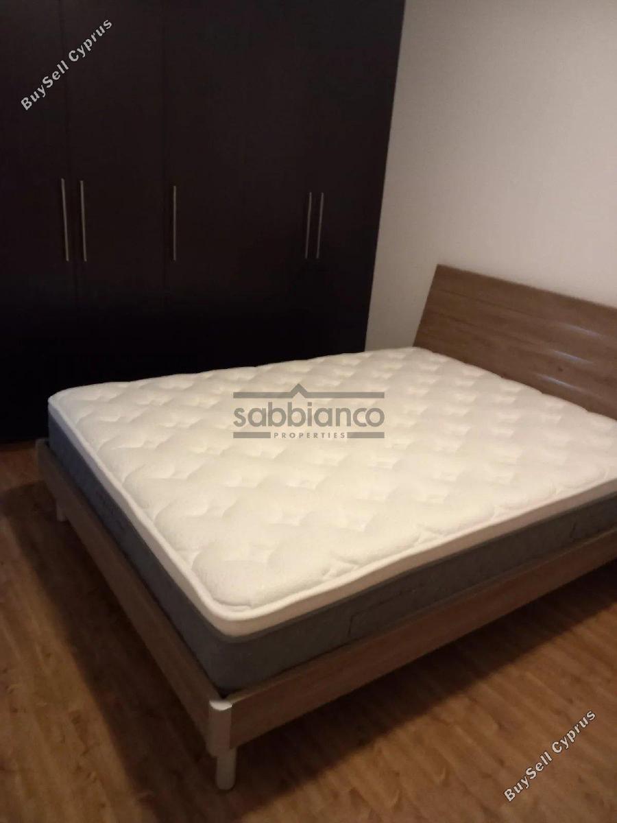3 bedroom apartment for rent limassol municipality limassol 8752937 image 16506304