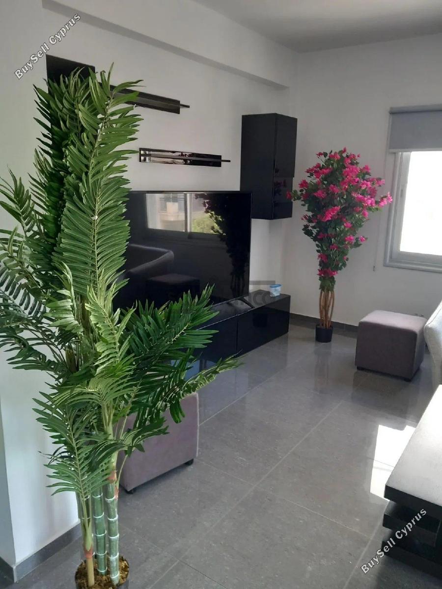 3 bedroom apartment for rent limassol municipality limassol 8752937 image 16506322