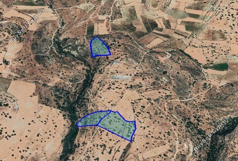 land for sale pachna limassol 1547937 image 5889096