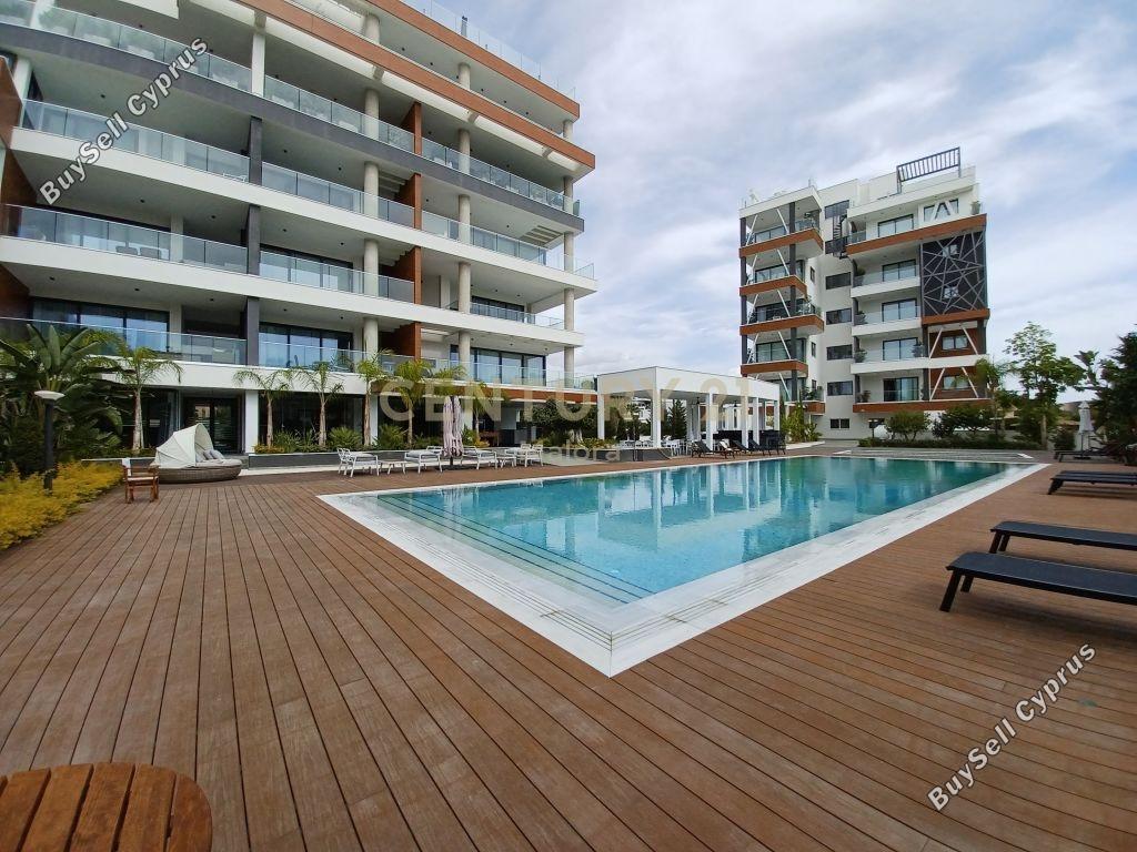 2 bedroom apartment for rent potamos germasogeias limassol 1702047 image 16399697