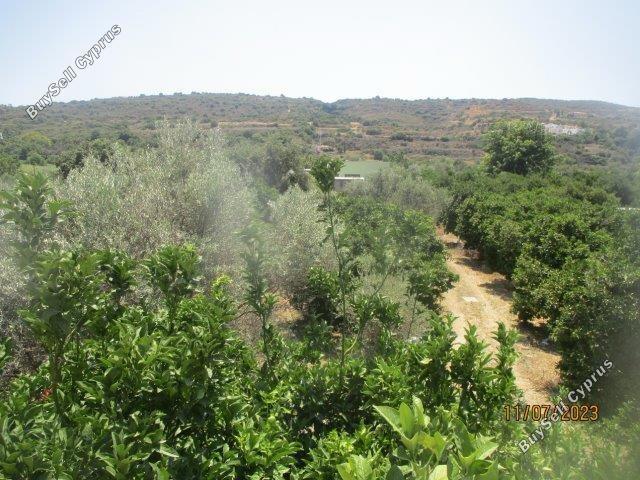 3 bedroom bungalow for sale goudi paphos 1616047 image 5582179