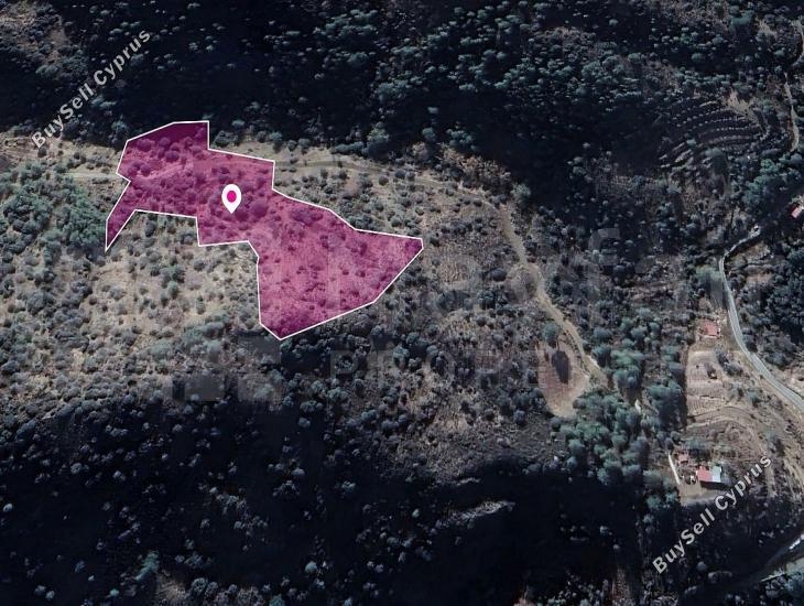 land for sale kaminaria limassol 7872047 image 11383958