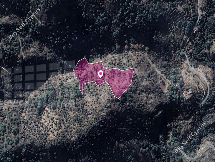 land for sale kaminaria limassol 7872047 image 11383959