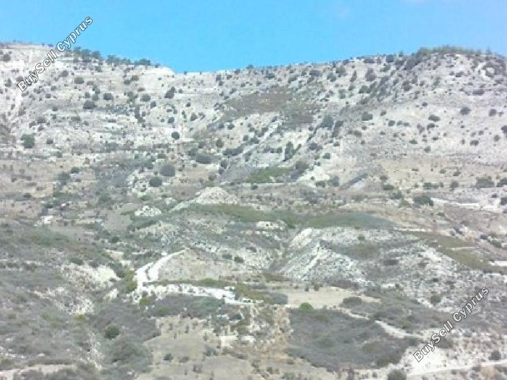 land for sale kedares paphos 7806047 image 17922743