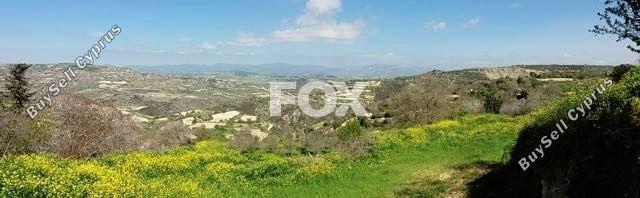 land for sale koili paphos 1565047 image 5641559