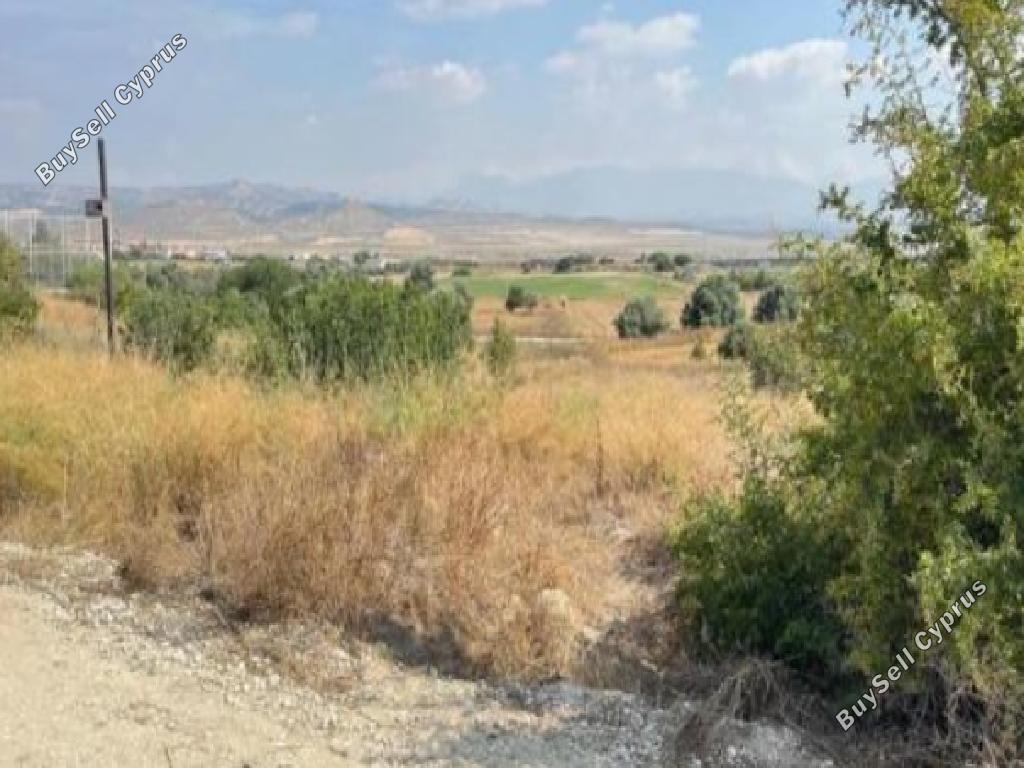 1004 SQM Land for sale in Deneia, Nicosia 15597833