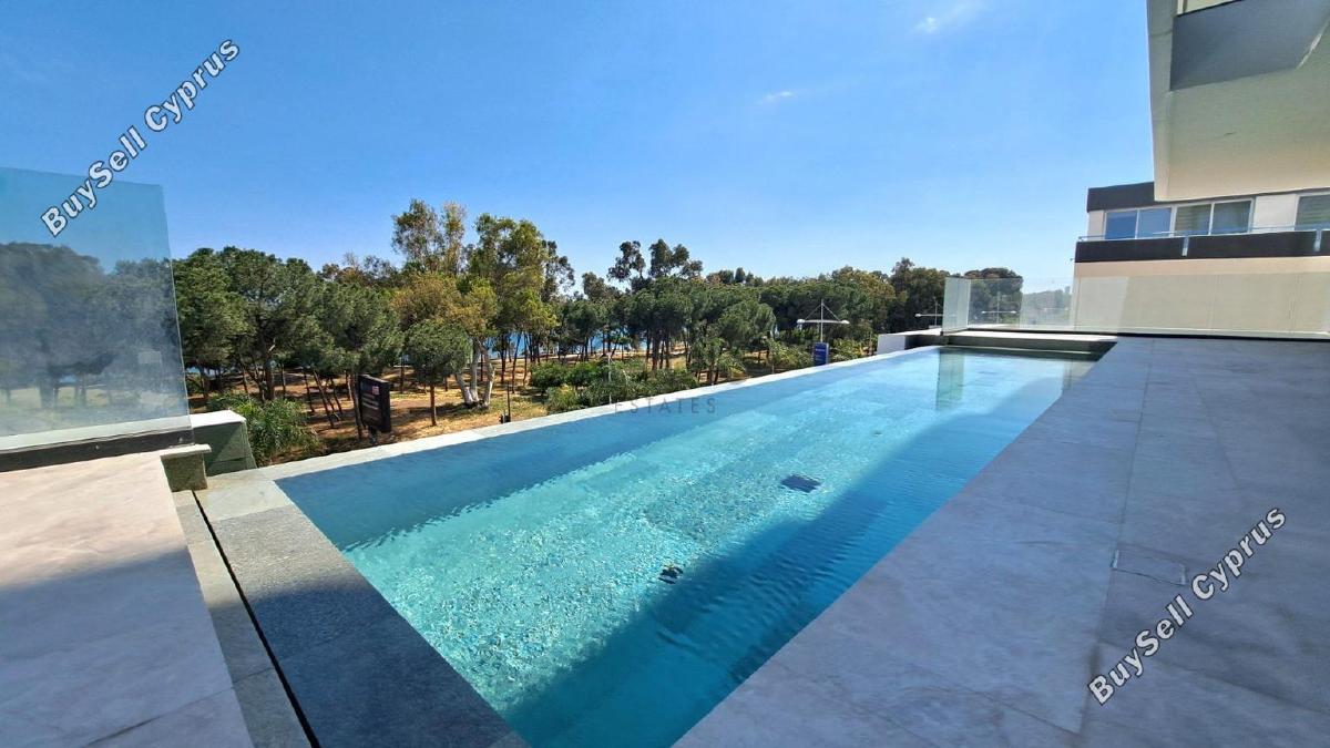 2 bedroom apartment for rent potamos germasogeias limassol 8759147 image 16533401